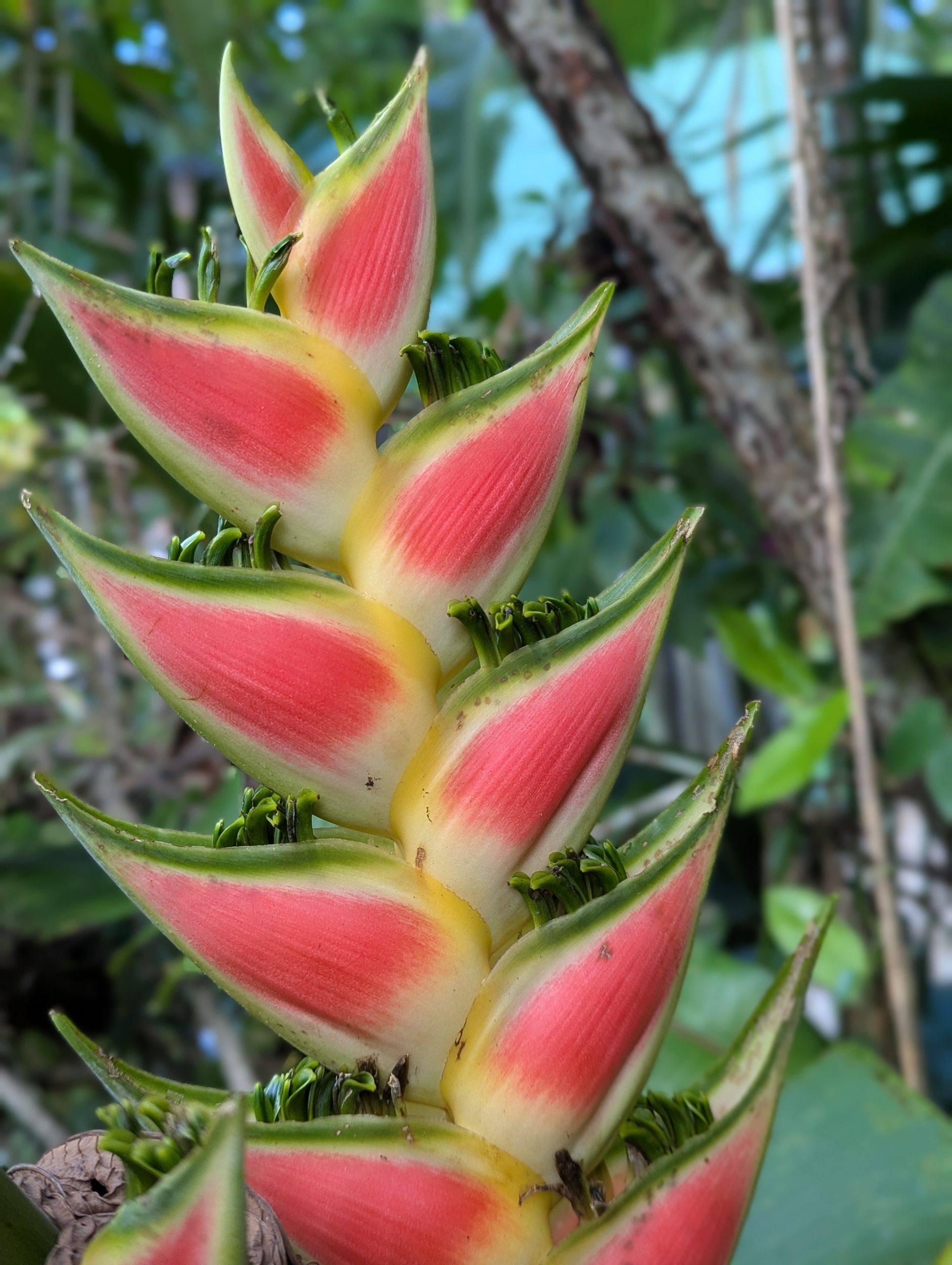 The Facilities - Casa Firefly