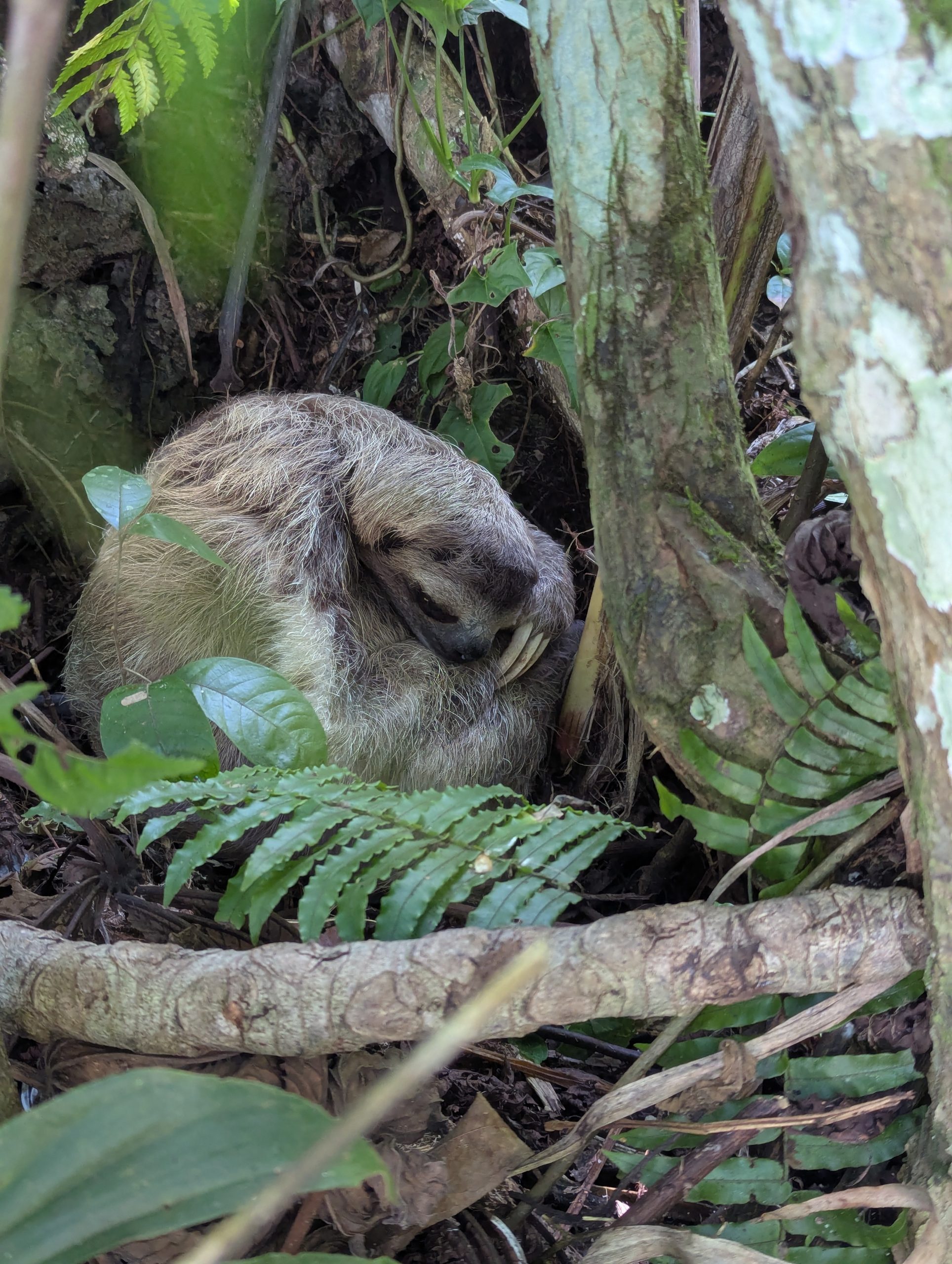 The Facilities - Casa Firefly