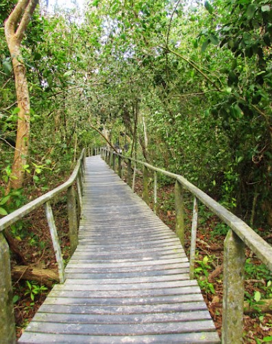 The Experiences - Space to explore