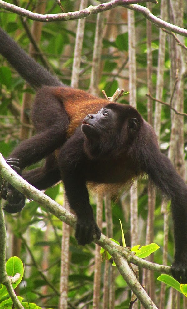 The Experiences - Space to explore