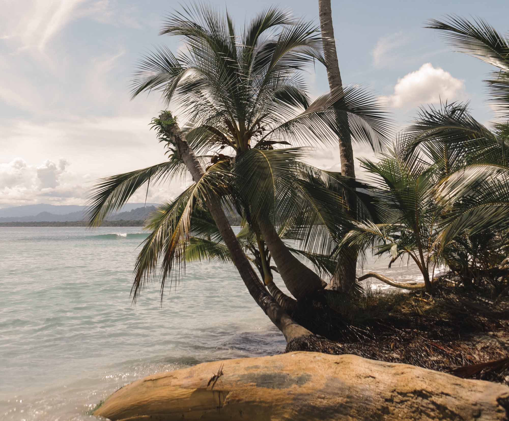 The Experiences - Space to explore