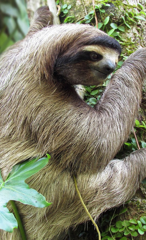 The Experiences - Space to explore